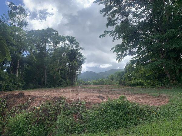 Se Venden 43 cdas de terreno en Yabucoa
