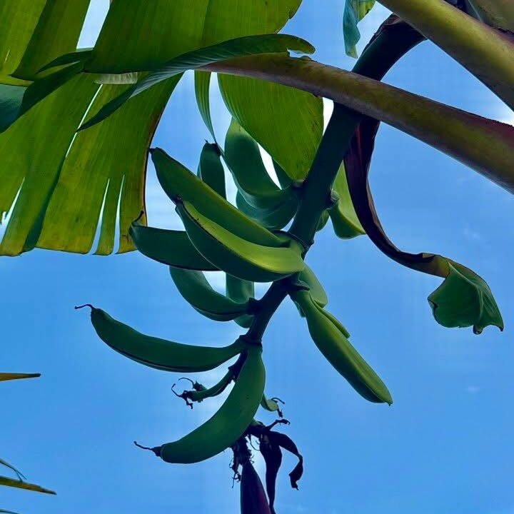 518256903_1350575903740774_5561813420758521283_n