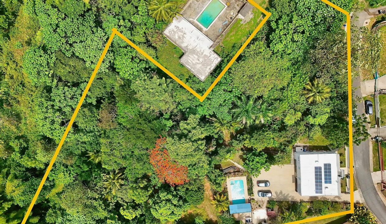 518354152_1350576780407353_7307833013160003036_n