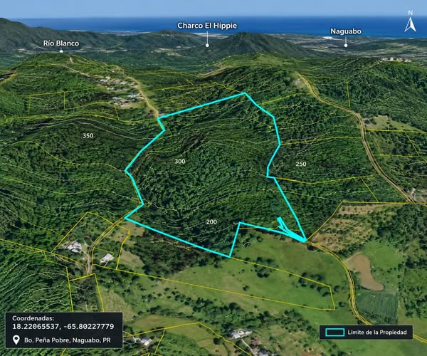 TERRENO EN VENTA | NAGUABO, PUERTO RICO